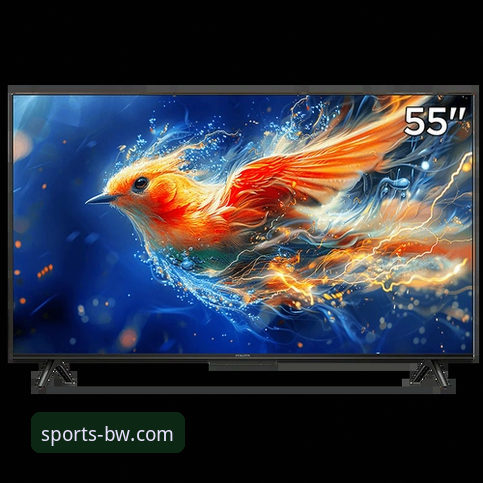 资深用户亲测：宝威体育平台下载与流畅使用全攻略